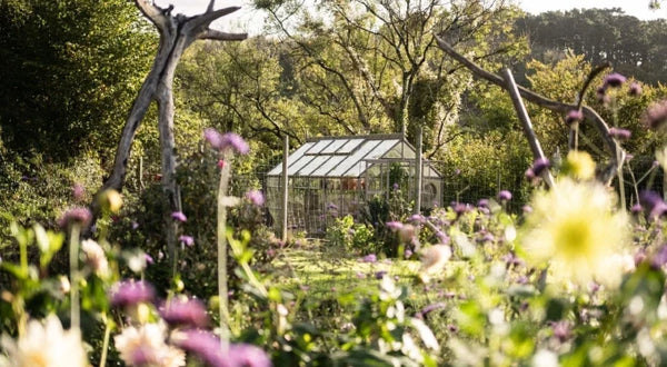 Rhino greenhouse surrounded by trees and blooming flowers