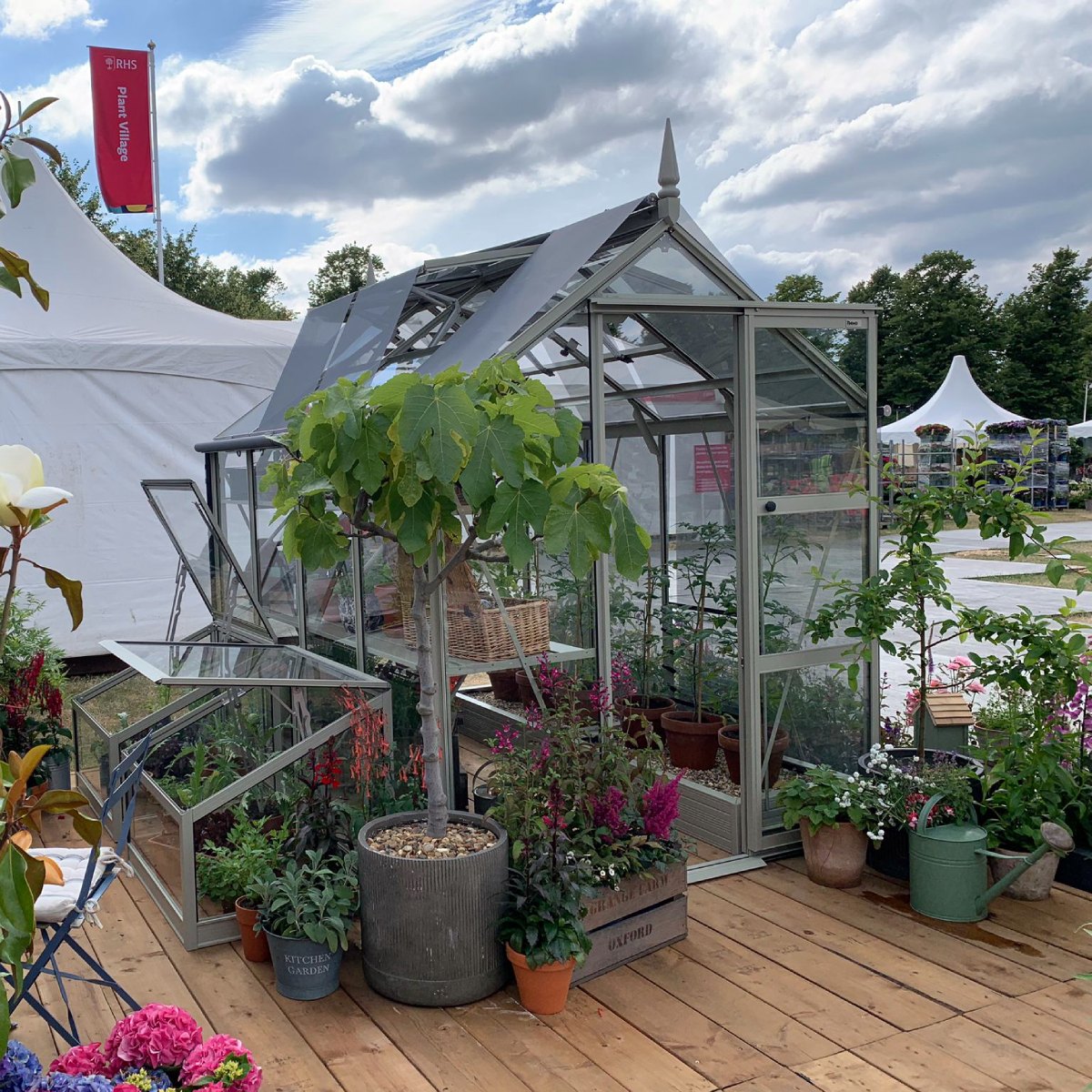 Rhino Greenhouse displaying various potted plants including a small tree, surrounded by more plants on wooden decking. Background features white tents, a red flag labeled RHS Plant Village, and a cloudy sky.