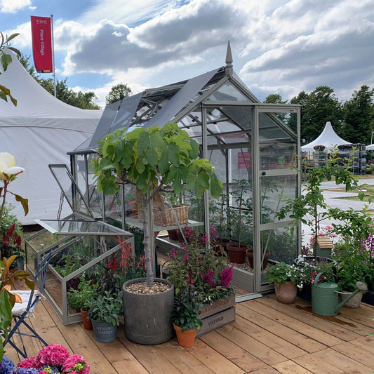 Rhino Greenhouse displaying various potted plants including a small tree, surrounded by more plants on wooden decking. Background features white tents, a red flag labeled RHS Plant Village, and a cloudy sky.