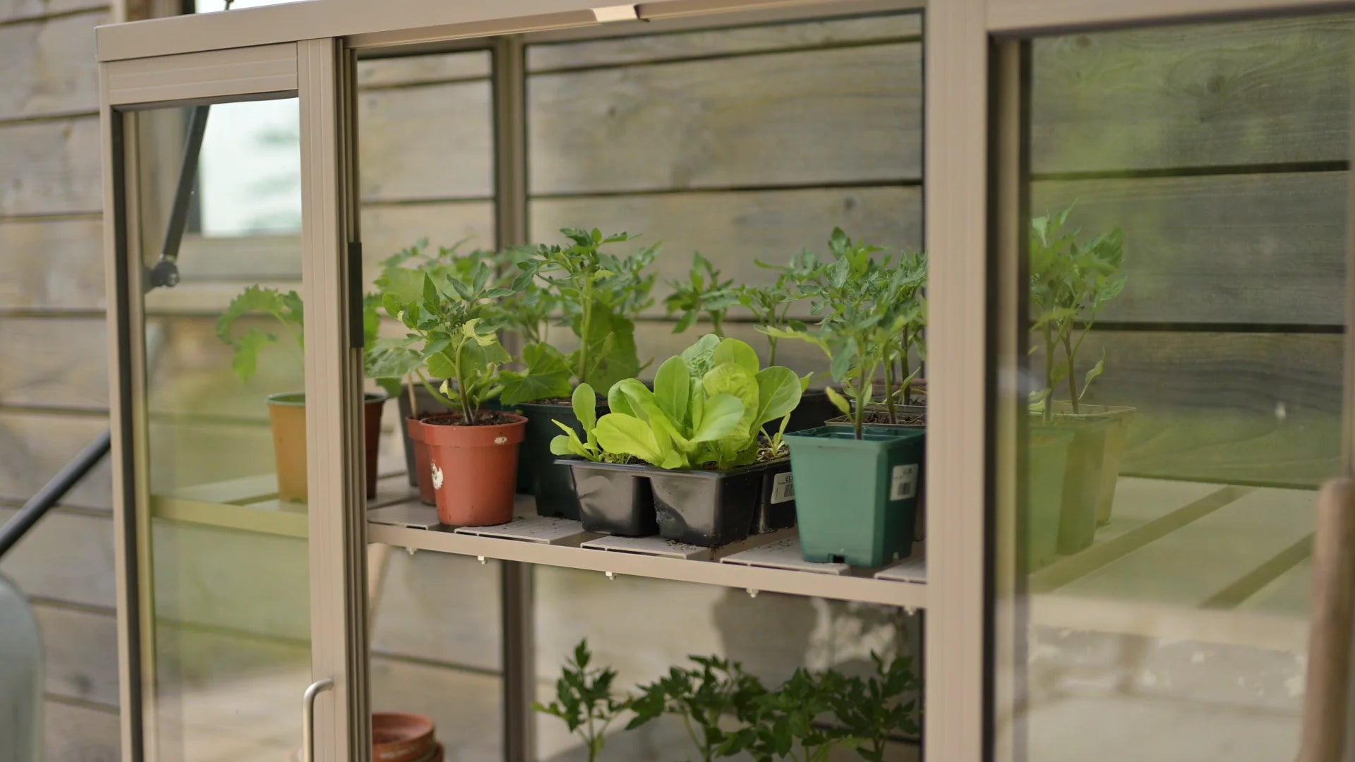 Rhino Patio Greenhouse 2x4