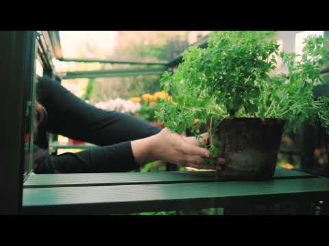 Rhino Patio Greenhouse 2x4