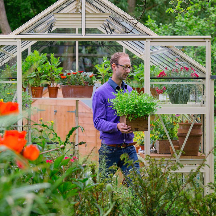 Man carrying potted plant infront of Rhino Premium greenhouse