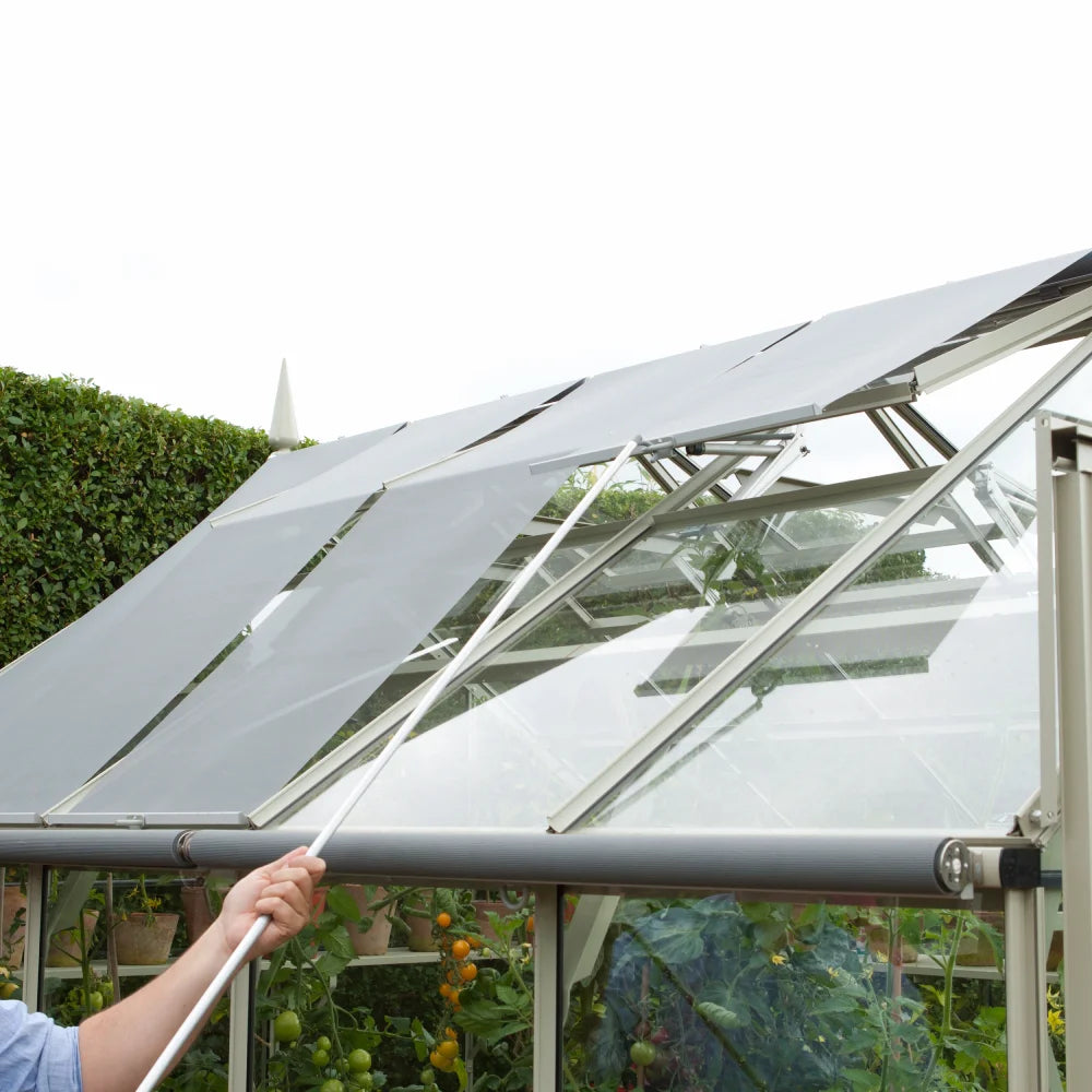 A hand uses a pole to adjust the roof vent of a glass Rhino Greenhouse. Tomato plants grow inside, and a hedge sits in the background, illustrating a garden environment.