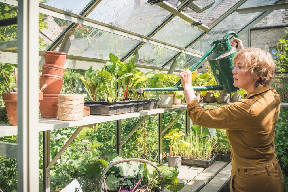 A person waters plants with a green watering can inside a Rhino Greenhouse. The shelves hold various potted plants and gardening supplies, while sunlight streams through the transparent roof.
