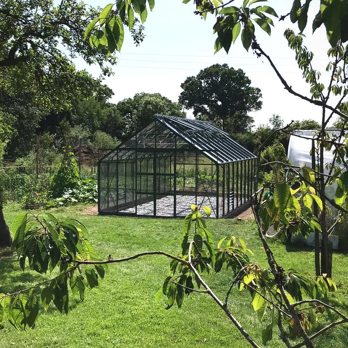 Tuscan olive 12x20 greenhouse through the trees