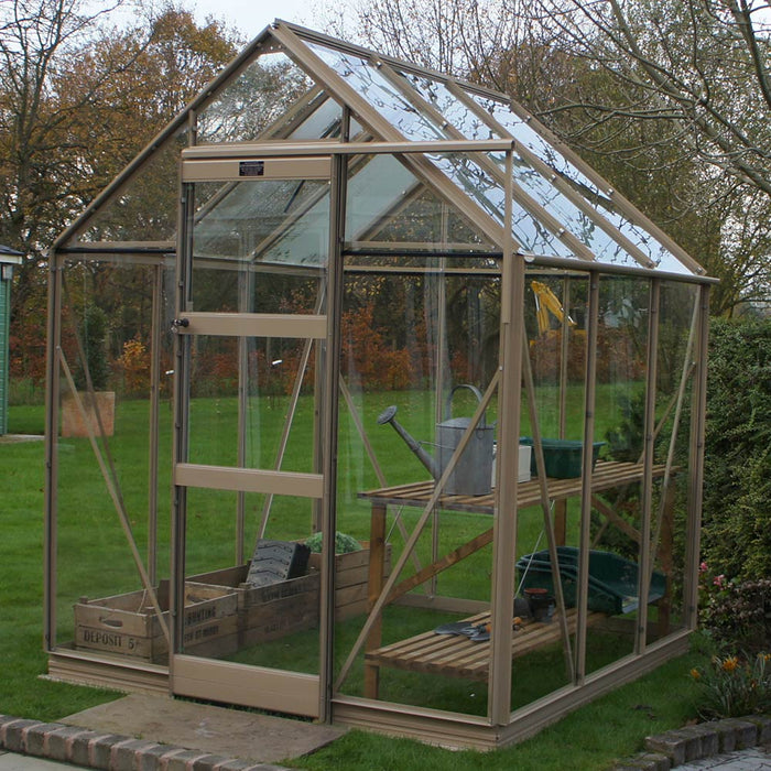 Elite High Eave 6x10 - Coloured With Toughened Glass Large Pane